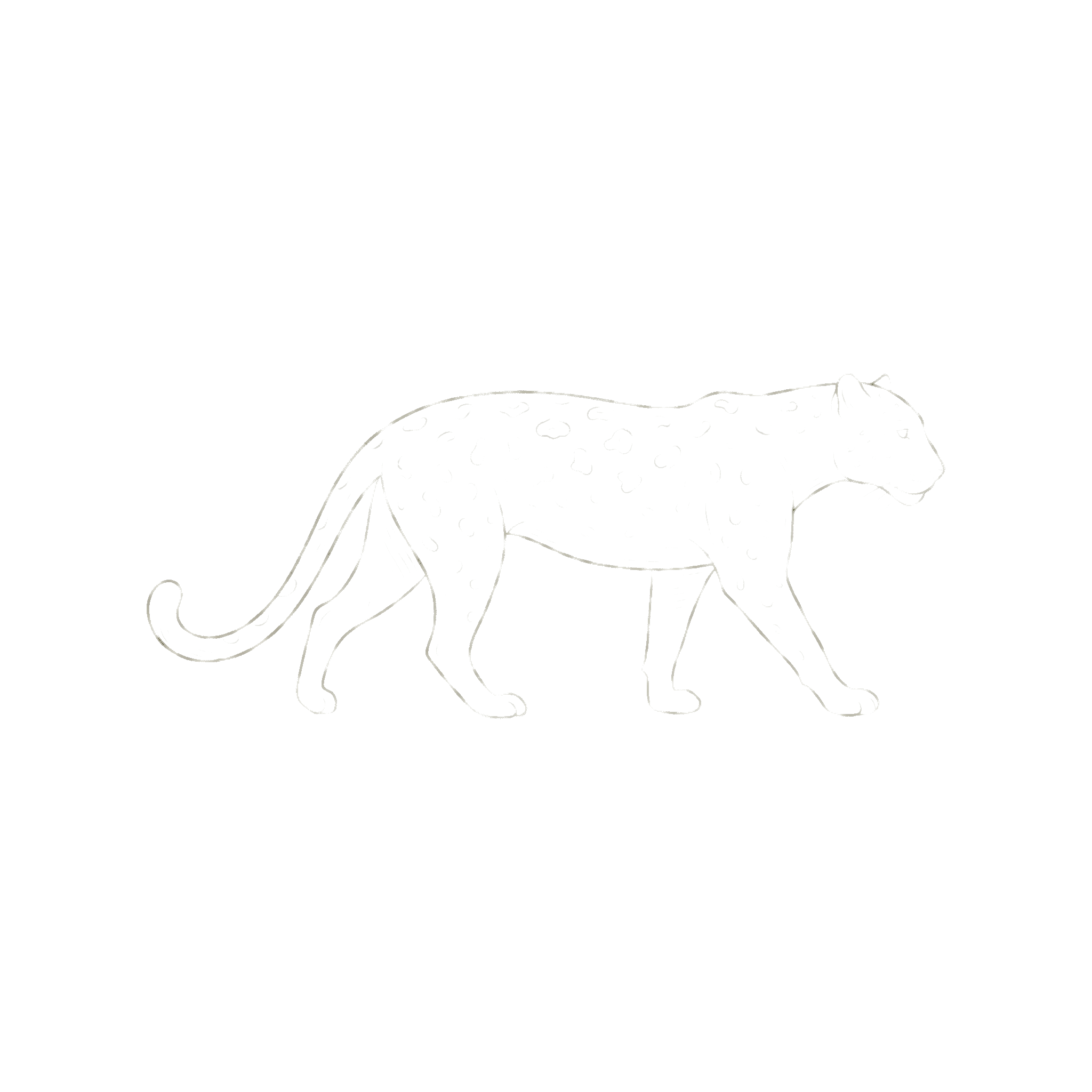 Jaguar logo